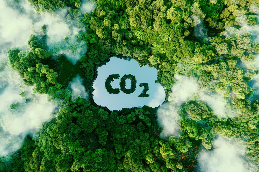 immagine che rappresenta la co2 free