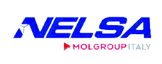 logo nelsa