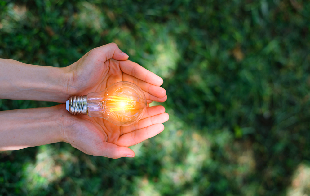 immagine che rappresenta due pani che tengono una lampadina con luce calda