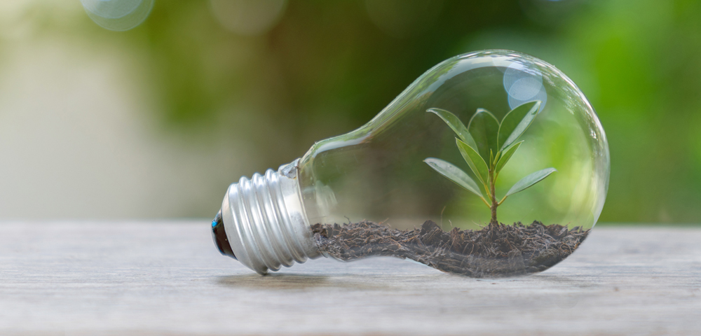 immagine che rappresenta una lampadina con piccola pianta all'interno