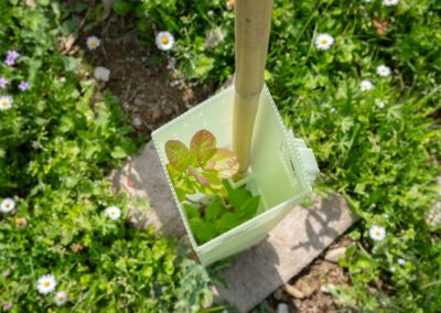 Progetto alberi di Gas Sales per la sostenibilit&agrave;