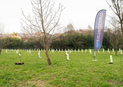 Progetto alberi di Gas Sales per la sostenibilit&agrave;