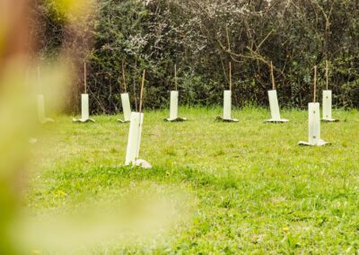 Progetto alberi di Gas Sales per la sostenibilit&agrave;