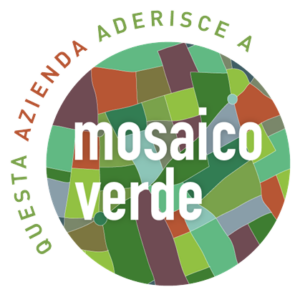 MV aderenti AZIENDA 1 300x292