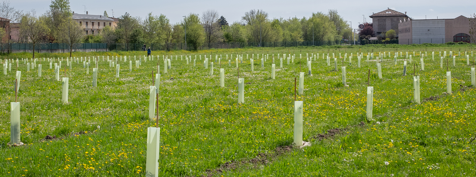 gas-sales-sostenibilita