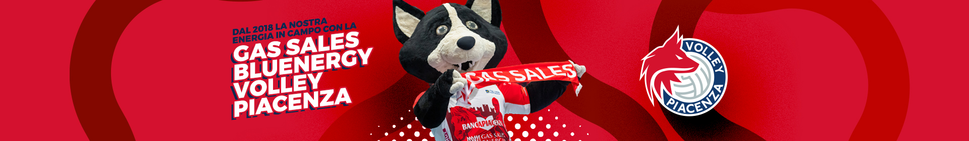 banner con mascotte wolfy